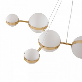 Подвесная люстра Favourite Asterismo 4448-8P в Талице - talica.mebel24.online | фото 7