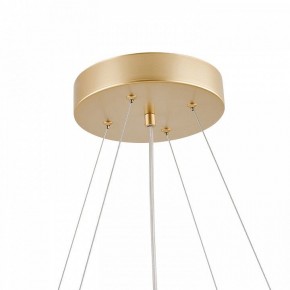 Подвесная люстра Favourite Asterismo 4448-8P в Талице - talica.mebel24.online | фото 8