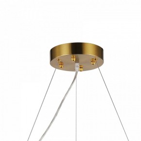 Подвесная люстра Favourite Magnitudo 2206-12P в Талице - talica.mebel24.online | фото 7