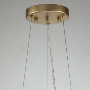 Подвесная люстра Favourite Rays 4058-14P в Талице - talica.mebel24.online | фото 11