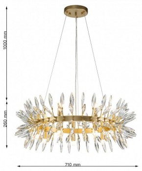 Подвесная люстра Favourite Rays 4058-14P в Талице - talica.mebel24.online | фото 7
