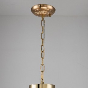 Подвесная люстра Favourite Rocca 2689-6P в Талице - talica.mebel24.online | фото 4