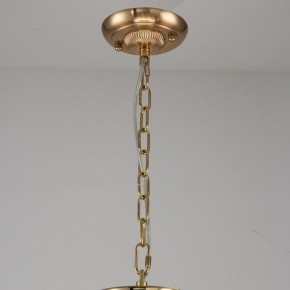 Подвесная люстра Favourite Rocca 2689-9P в Талице - talica.mebel24.online | фото 2