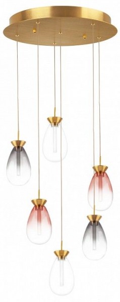 Подвесная люстра Lightstar Colore 805169 в Талице - talica.mebel24.online | фото
