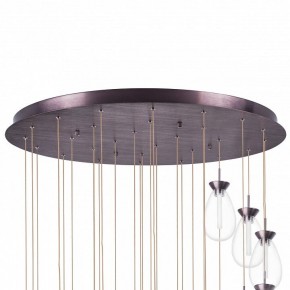Подвесная люстра Lightstar Colore 805289 в Талице - talica.mebel24.online | фото 6
