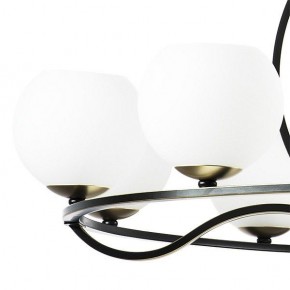 Подвесная люстра Lightstar Enna 762117 в Талице - talica.mebel24.online | фото 4