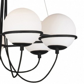 Подвесная люстра Lightstar Globo 803267 в Талице - talica.mebel24.online | фото 5