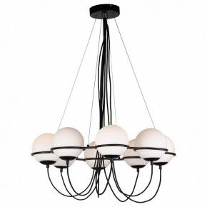 Подвесная люстра Lightstar Globo 803287 в Талице - talica.mebel24.online | фото 3