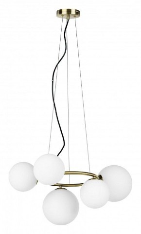 Подвесная люстра Lightstar Globo 815051 в Талице - talica.mebel24.online | фото 2