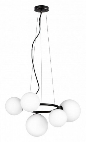 Подвесная люстра Lightstar Globo 815057 в Талице - talica.mebel24.online | фото 2