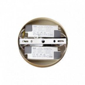 Подвесная люстра Lumion Parker 6564/60L в Талице - talica.mebel24.online | фото 6