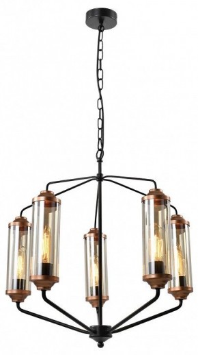 Подвесная люстра Lussole Fishers LSP-8800 в Талице - talica.mebel24.online | фото 2
