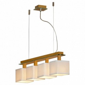Подвесная люстра Lussole Montone LSF-2503-04 в Талице - talica.mebel24.online | фото 2