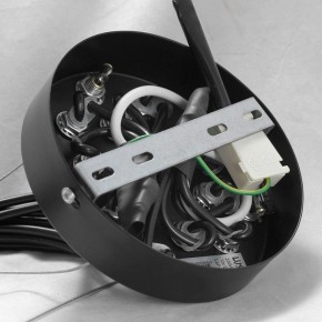 Подвесная люстра Lussole Seneca GRLSP-8177 в Талице - talica.mebel24.online | фото 10
