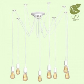 Подвесная люстра Lussole Shirley GRLSP-8173 в Талице - talica.mebel24.online | фото 3