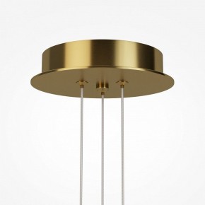 Подвесная люстра Maytoni Arana MOD401PL-L108BS3K в Талице - talica.mebel24.online | фото 7