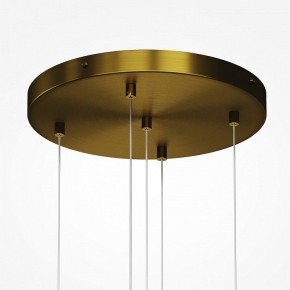 Подвесная люстра Maytoni Frozen MOD254PL-05BS в Талице - talica.mebel24.online | фото 4