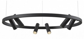 Подвесная люстра Maytoni Halo MOD102PL-L42BK в Талице - talica.mebel24.online | фото