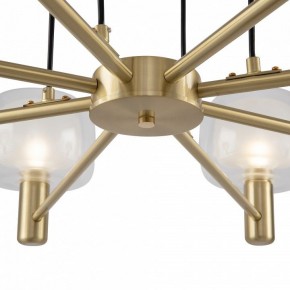 Подвесная люстра Maytoni Vision MOD411PL-08G в Талице - talica.mebel24.online | фото 9