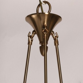 Подвесная люстра MW-Light Габриэль 12 491013421 в Талице - talica.mebel24.online | фото 9