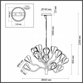 Подвесная люстра Odeon Light Gardi 5090/15 в Талице - talica.mebel24.online | фото 6