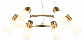 Подвесная люстра Omnilux Ales OML-69103-06 в Талице - talica.mebel24.online | фото