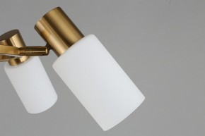 Подвесная люстра Omnilux Ales OML-69103-06 в Талице - talica.mebel24.online | фото 10