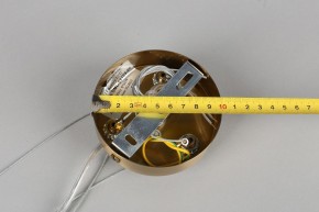 Подвесная люстра Omnilux Ales OML-69103-06 в Талице - talica.mebel24.online | фото 11