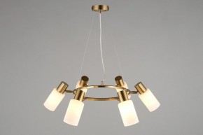 Подвесная люстра Omnilux Ales OML-69103-06 в Талице - talica.mebel24.online | фото 6