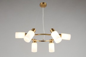Подвесная люстра Omnilux Ales OML-69103-06 в Талице - talica.mebel24.online | фото 7