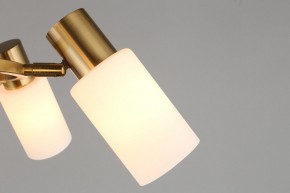 Подвесная люстра Omnilux Ales OML-69103-06 в Талице - talica.mebel24.online | фото 9