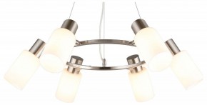 Подвесная люстра Omnilux Ales OML-69113-06 в Талице - talica.mebel24.online | фото 2
