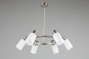 Подвесная люстра Omnilux Ales OML-69113-06 в Талице - talica.mebel24.online | фото 4