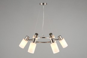 Подвесная люстра Omnilux Ales OML-69113-06 в Талице - talica.mebel24.online | фото 6