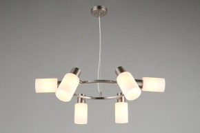 Подвесная люстра Omnilux Ales OML-69113-06 в Талице - talica.mebel24.online | фото 7