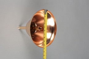 Подвесная люстра Omnilux Ausonia OML-68703-06 в Талице - talica.mebel24.online | фото 11
