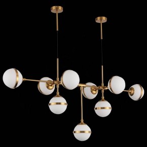 Подвесная люстра ST-Luce Arbe SL1157.303.09 в Талице - talica.mebel24.online | фото 4