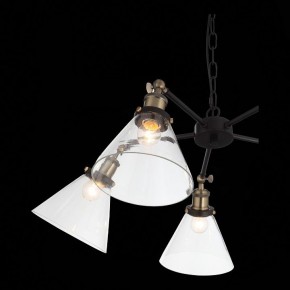 Подвесная люстра ST-Luce Evoluto SL237.413.05 в Талице - talica.mebel24.online | фото 7