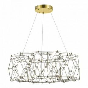 Подвесная люстра ST-Luce Gravetta SL6602.203.48 в Талице - talica.mebel24.online | фото 2