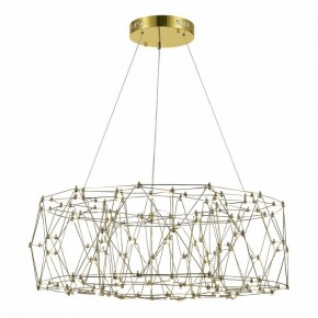 Подвесная люстра ST-Luce Gravetta SL6602.203.48 в Талице - talica.mebel24.online | фото 3