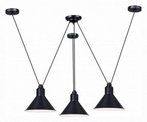 Подвесная люстра ST-Luce Svevo SL1804.403.03 в Талице - talica.mebel24.online | фото 2