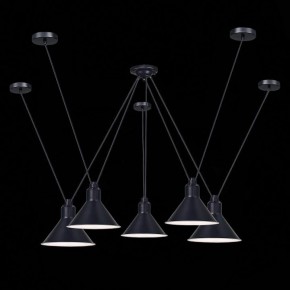 Подвесная люстра ST-Luce Svevo SL1804.403.05 в Талице - talica.mebel24.online | фото 3