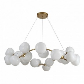 Подвесная люстра ST-Luce Sweven SL1519.303.24 в Талице - talica.mebel24.online | фото 2