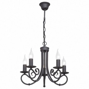Подвесная люстра Vitaluce 3407 V3407/5 в Талице - talica.mebel24.online | фото 2