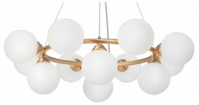 Подвесная люстра Vitaluce V48410 V48410-8/12S в Талице - talica.mebel24.online | фото