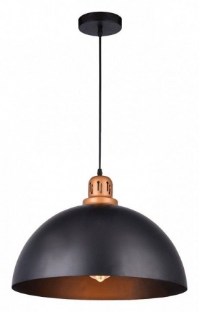 Подвесной светильник Arte Lamp Eurica A4249SP-1BK в Талице - talica.mebel24.online | фото 2