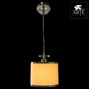 Подвесной светильник Arte Lamp Furore A3990SP-1CC в Талице - talica.mebel24.online | фото 3