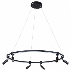 Подвесной светильник Arte Lamp Ring A2186SP-1BK в Талице - talica.mebel24.online | фото 2