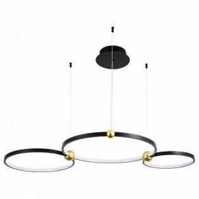 Подвесной светильник Divinare Amadeo 1123/04 SP-75 в Талице - talica.mebel24.online | фото