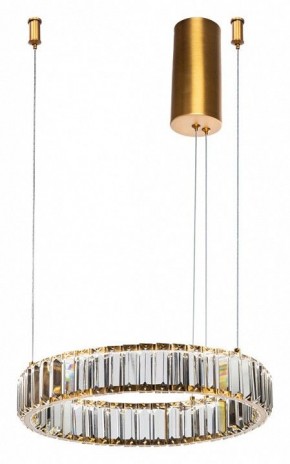 Подвесной светильник Divinare Renata 1135/17 SP-25 в Талице - talica.mebel24.online | фото 2